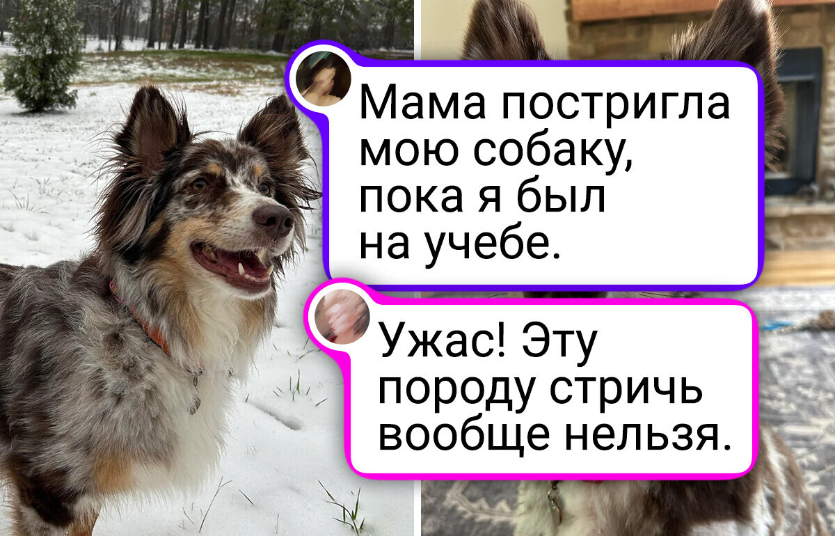 15+ родственничков, которые умеют поддать в жизнь перца