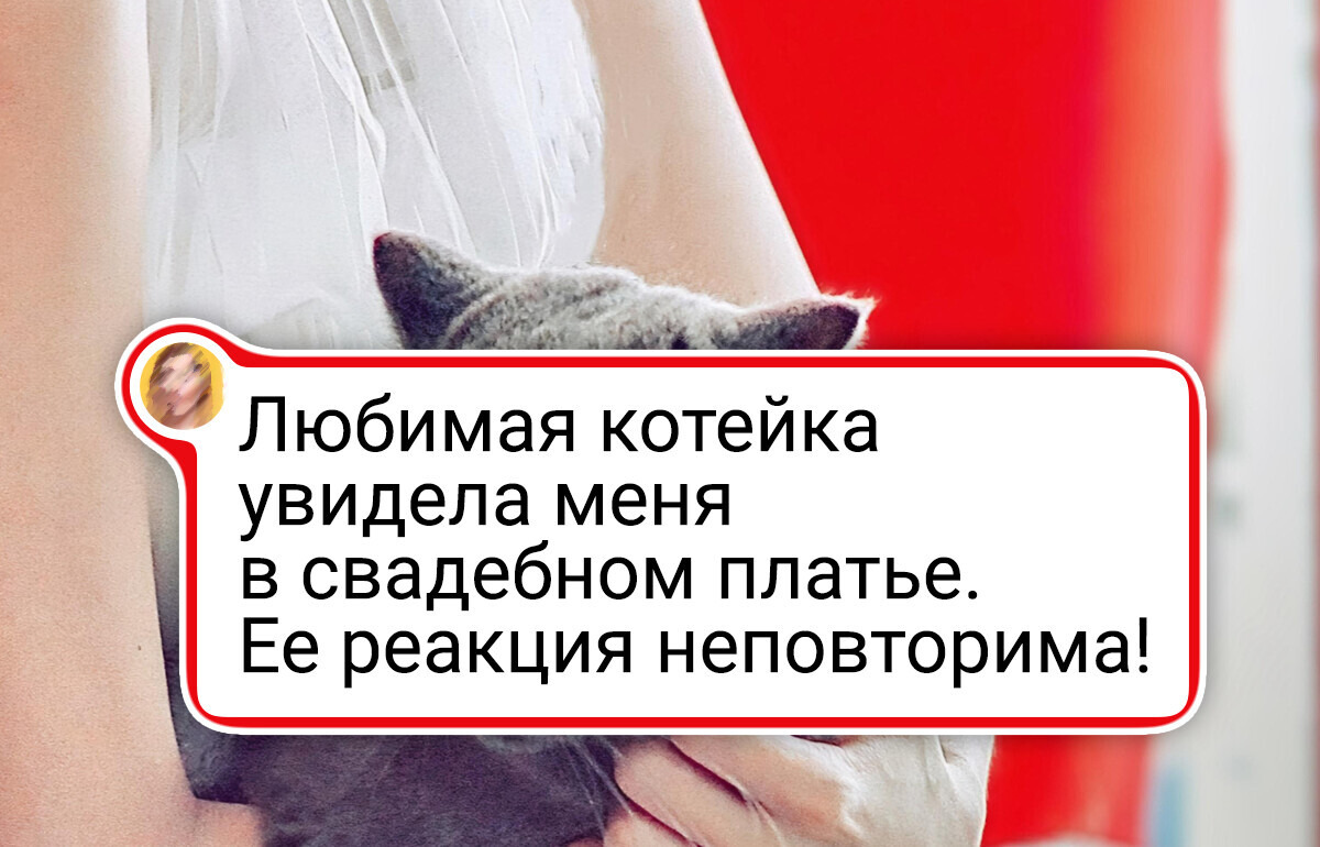 20 хвостатых, которые точно знают, как поднять вам настроение на весь день 20 хвостатых, которые точно знают, как поднять вам настроение на весь день