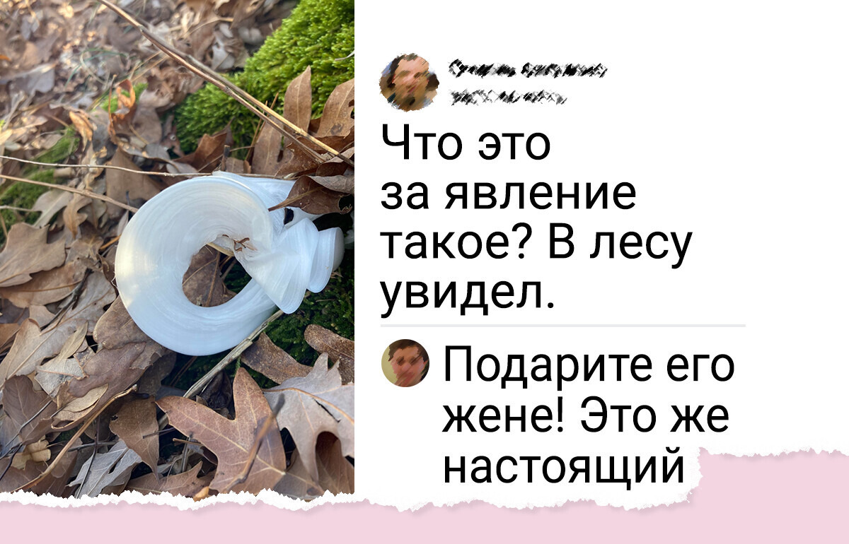 6 дивных природных явлений, которые можно встретить осенью 6 дивных природных явлений, которые можно встретить осенью
