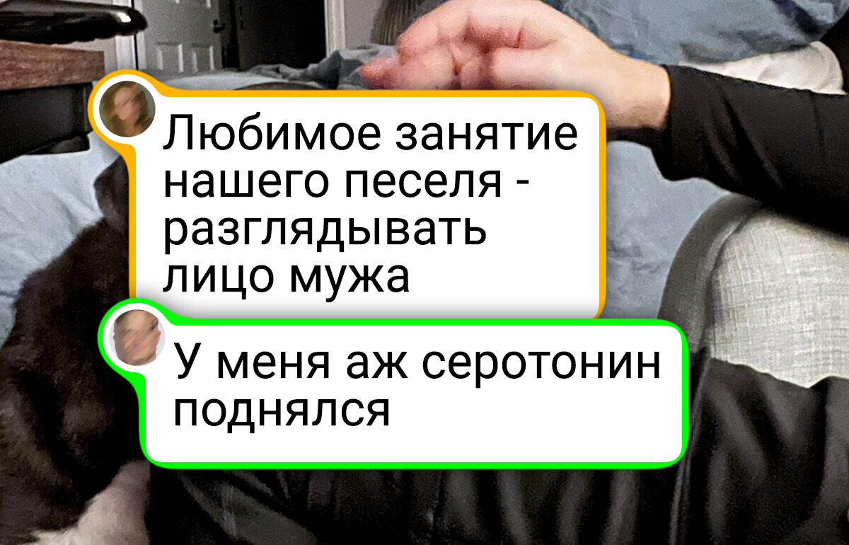 15 питомцев, которые не стесняются показывать свою любовь к двуногим