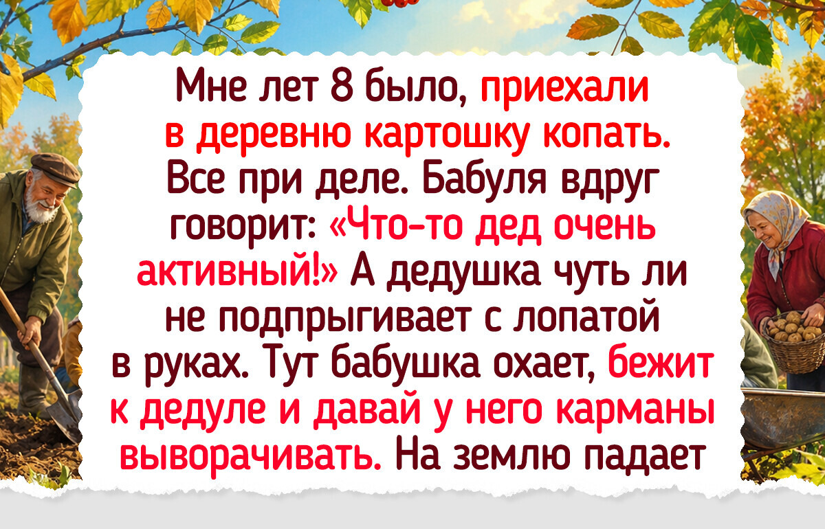 17 историй о деревне, где по утрам кукарекают петухи, а осенью пахнет сливовыми пирогами и хризантемами