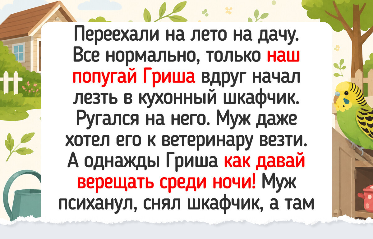 18 хозяев решили завести экзотического питомца, и тут началось кино