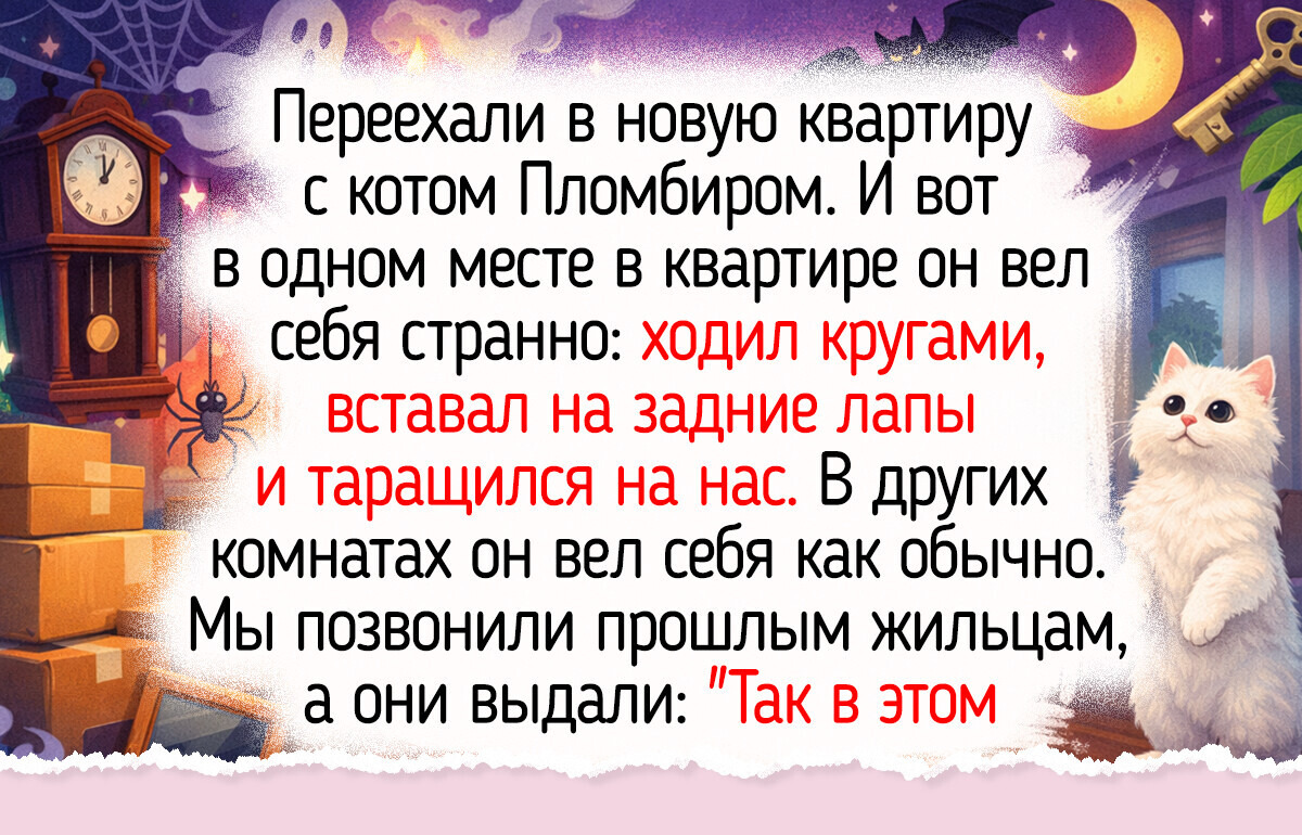 20+ жизненных историй о переезде в новое жилье, чьи стены хранили не только тепло, но и нежданные приветы из прошлого
