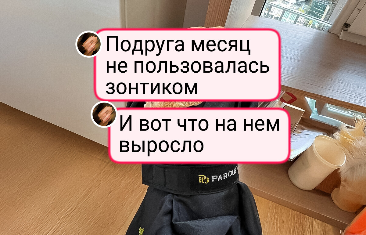 18 человек, чьи случайные фото из телефона подарят вам массу живых впечатлений