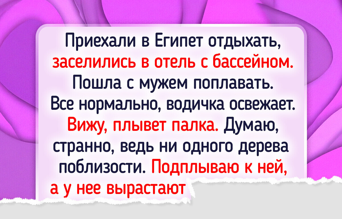 15 туристов, которые побывали в Египте и привезли целый баул впечатлений