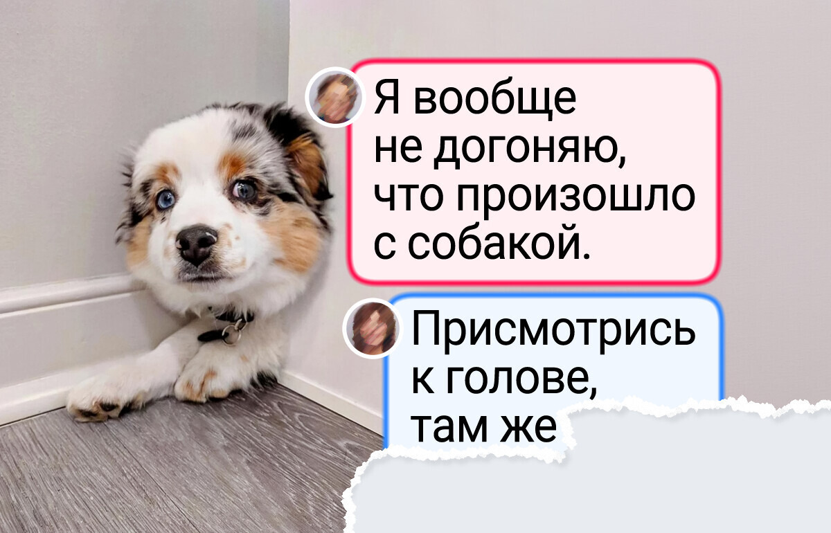 16 фотографий, которые выглядят, как сбой в матрице, но это наша с вами реальность