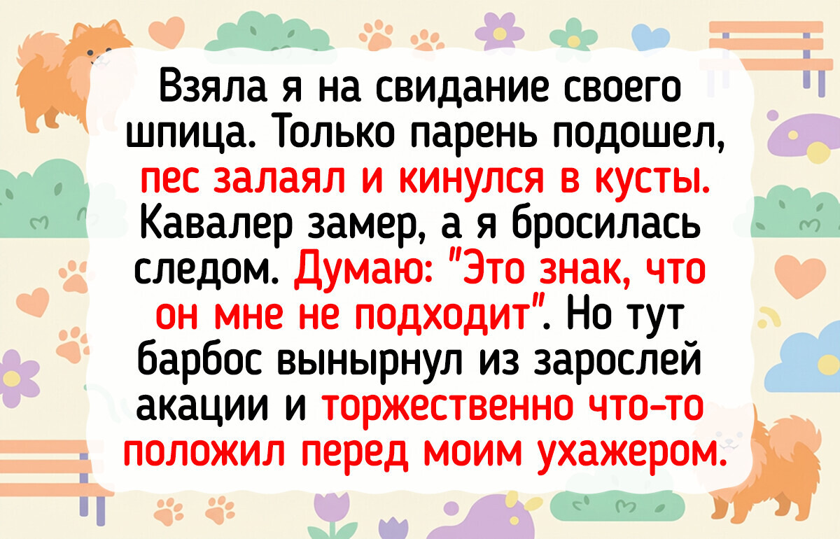 20+ барбосов, чья преданность озаряет жизнь хозяев ярче прожектора