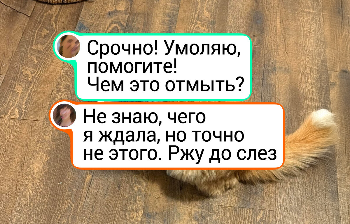 15+ человек, которым такое отмывать пришлось, что и профессиональный клинер бы спасовал 15+ человек, которым такое отмывать пришлось, что и профессиональный клинер бы спасовал