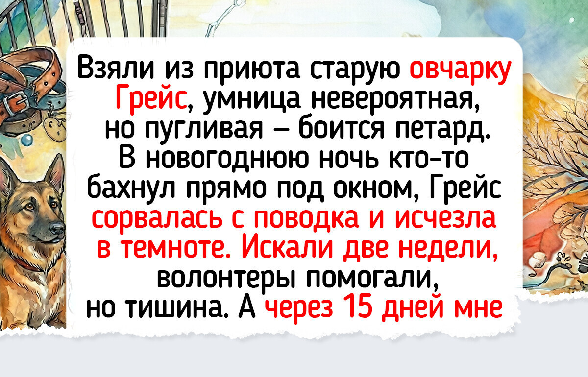 27 пушистых историй, которые сделают ваш день чуточку добрее