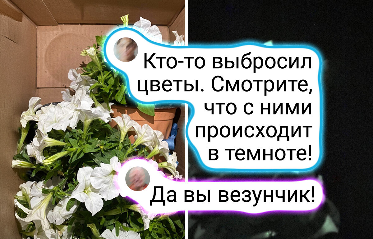 18 человек, которые просто шли по улице и наткнулись на сокровище