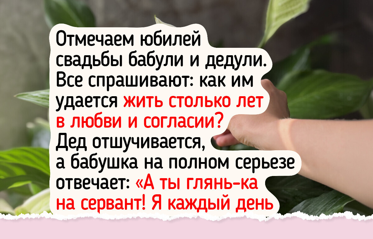 Красивые и полезные: 7 эффектных и неприхотливых растений для вашего подоконника