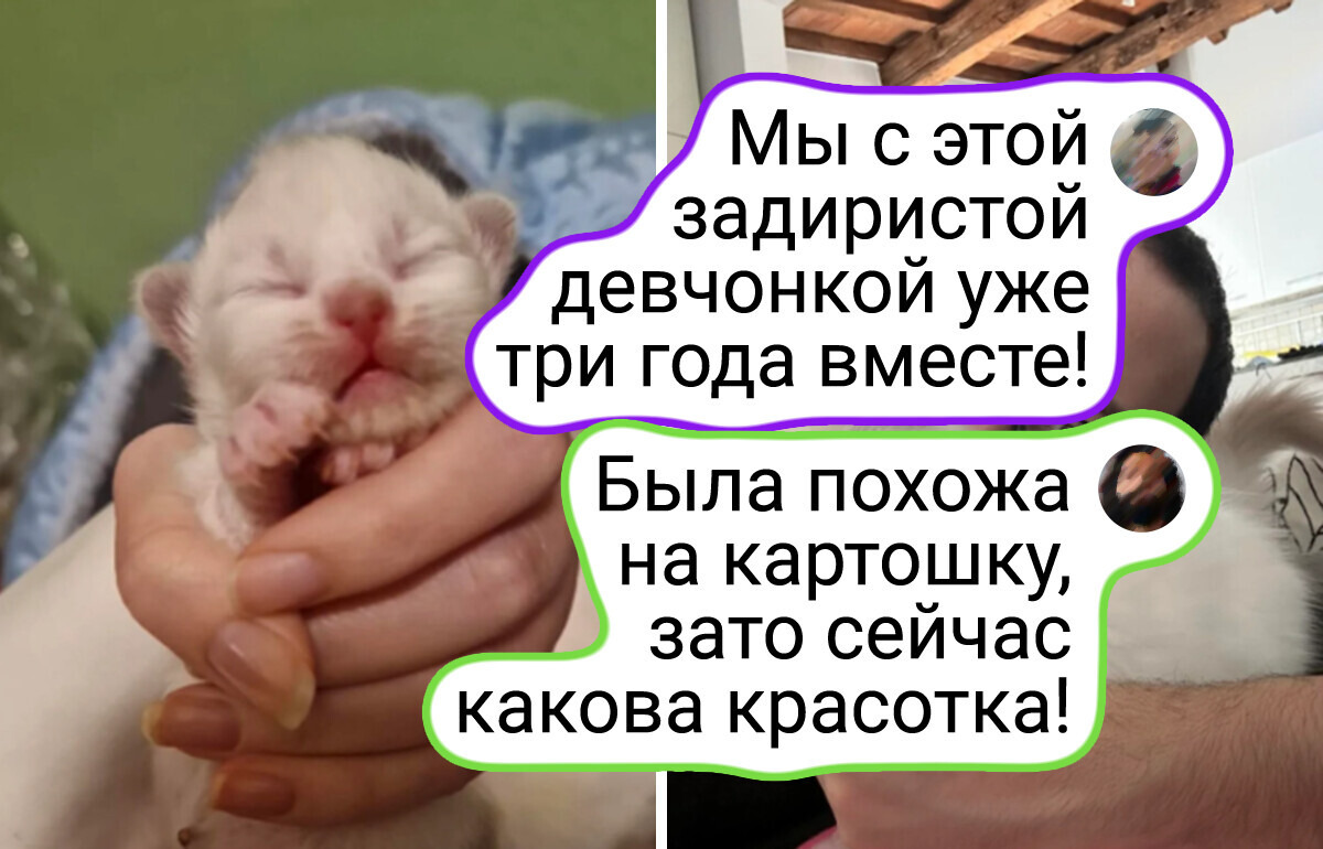 Невозможно не улыбнуться: 18 трогательных фото хозяев и их питомцев «тогда и сейчас»