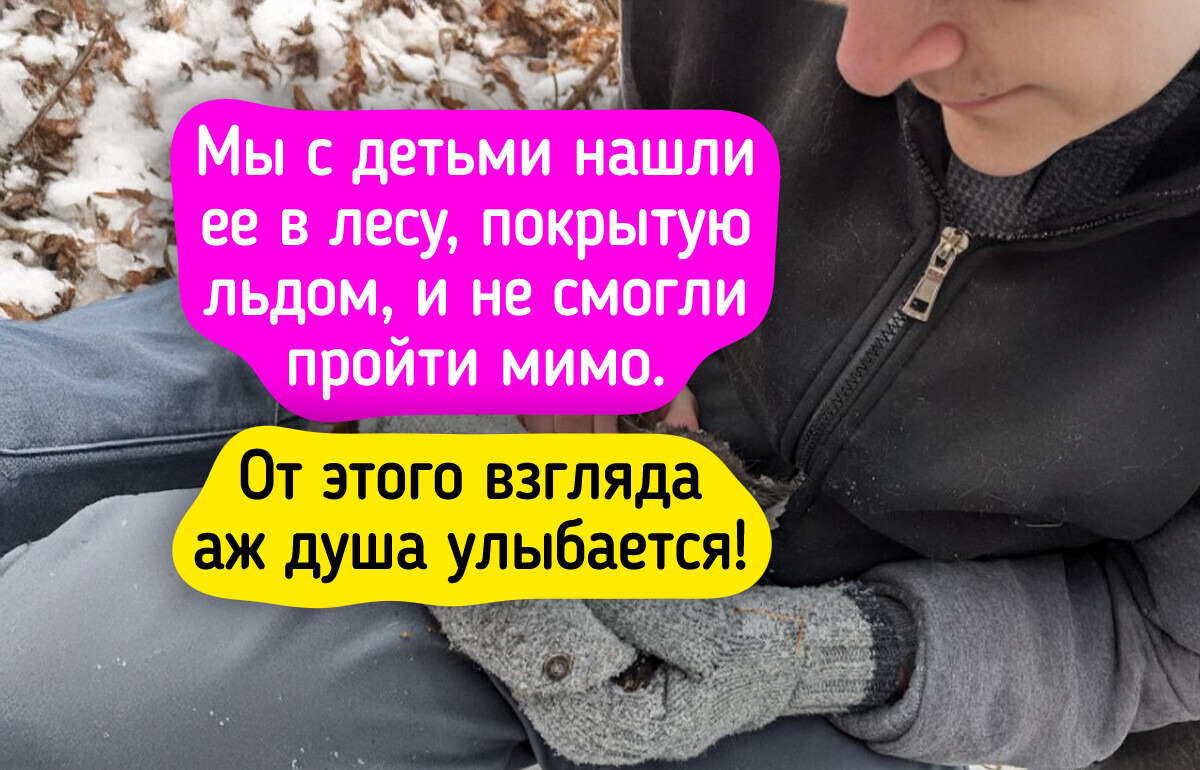 21 животное, чья мимика выразительнее, чем игра голливудских звезд