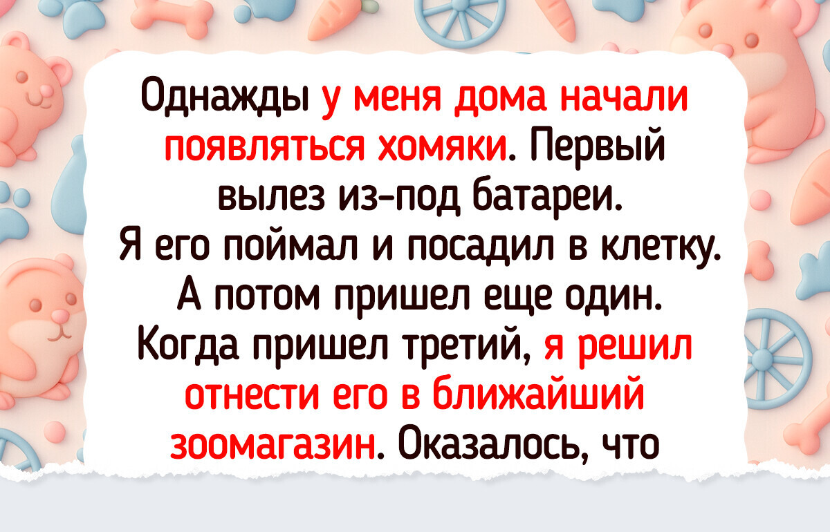 15+ историй, после которых начинаешь верить в приколы судьбы 15+ историй, после которых начинаешь верить в приколы судьбы