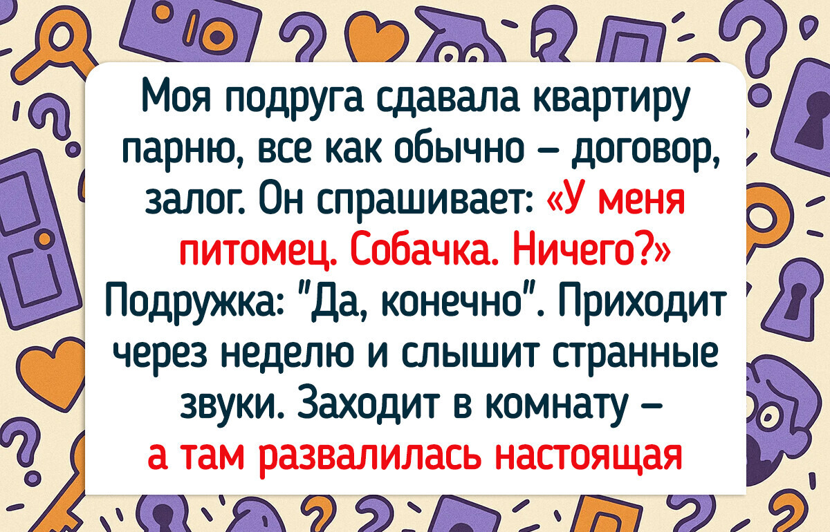 15+ настоящих приключений, которые произошли в съемных квартирах