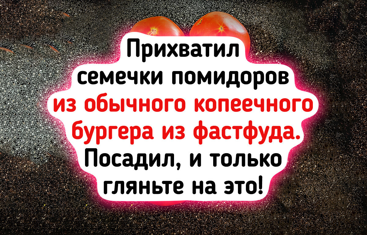 15 огородников, у которых в саду нашлось такое, что закачаешься 15 огородников, у которых в саду нашлось такое, что закачаешься
