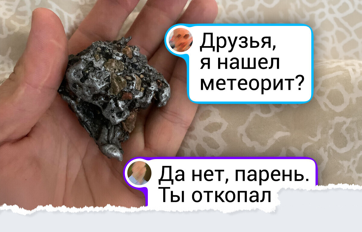 18 осенних находок в лесу, которые поднимают настроение и пахнут мокрой листвой