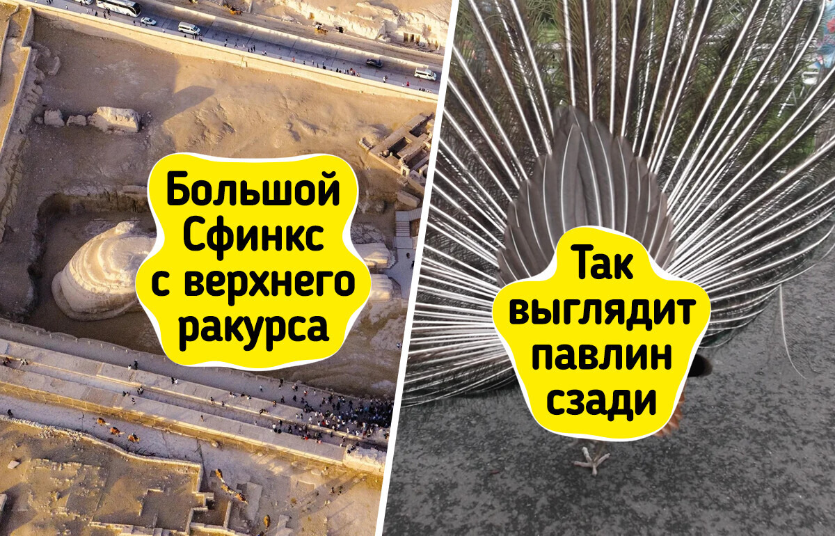 19 кадров, которые заставляют нас по-новому взглянуть на окружающий мир 19 кадров, которые заставляют нас по-новому взглянуть на окружающий мир