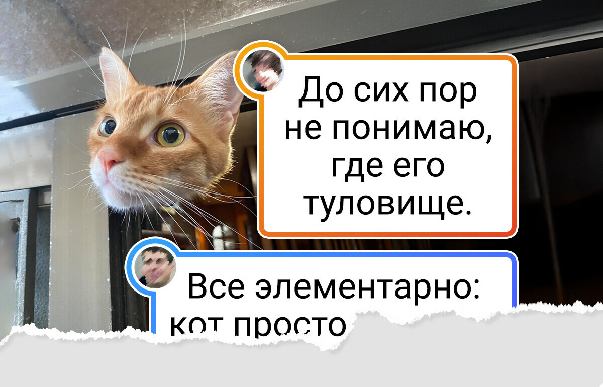 20+ фото, на которые смотришь и не сразу понимаешь, что не так 20+ фото, на которые смотришь и не сразу понимаешь, что не так