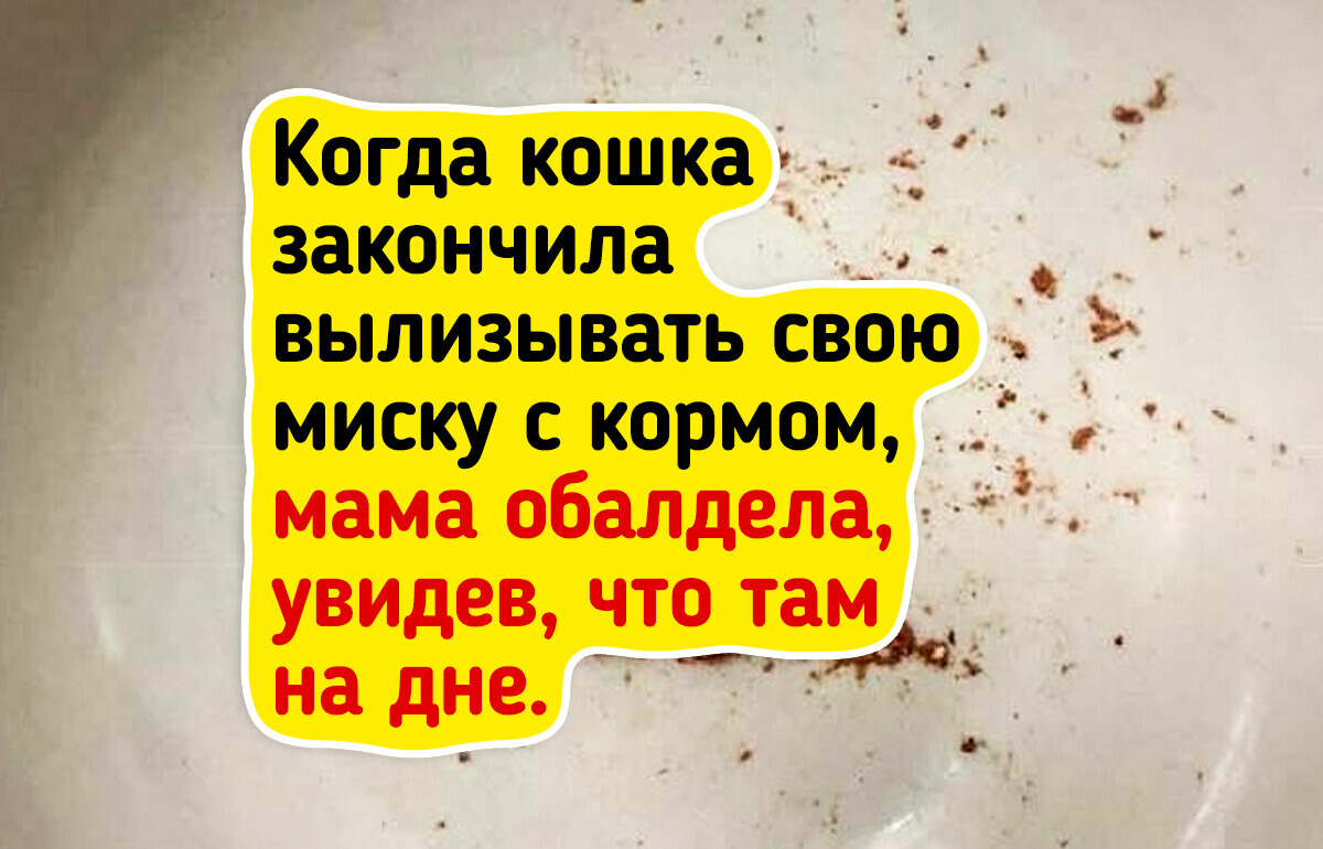 19 живых фото, которые виртуозно сбивают с толку даже самых внимательных