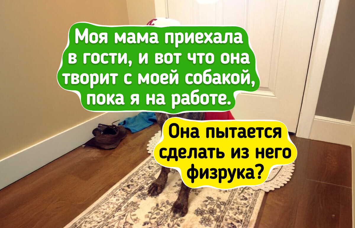 16 фотографий и историй, которые идеально иллюстрируют фразу «в гостях у мамы»