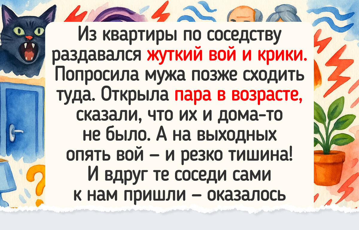 20+ соседей, способных развеять скуку в любой день