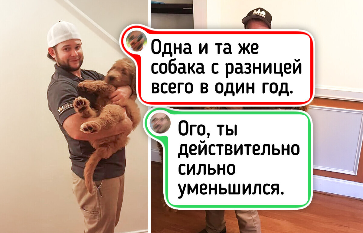 19 теплых фото, которые показывают, как меняются лица людей, но не их любовь к питомцу 19 теплых фото, которые показывают, как меняются лица людей, но не их любовь к питомцу