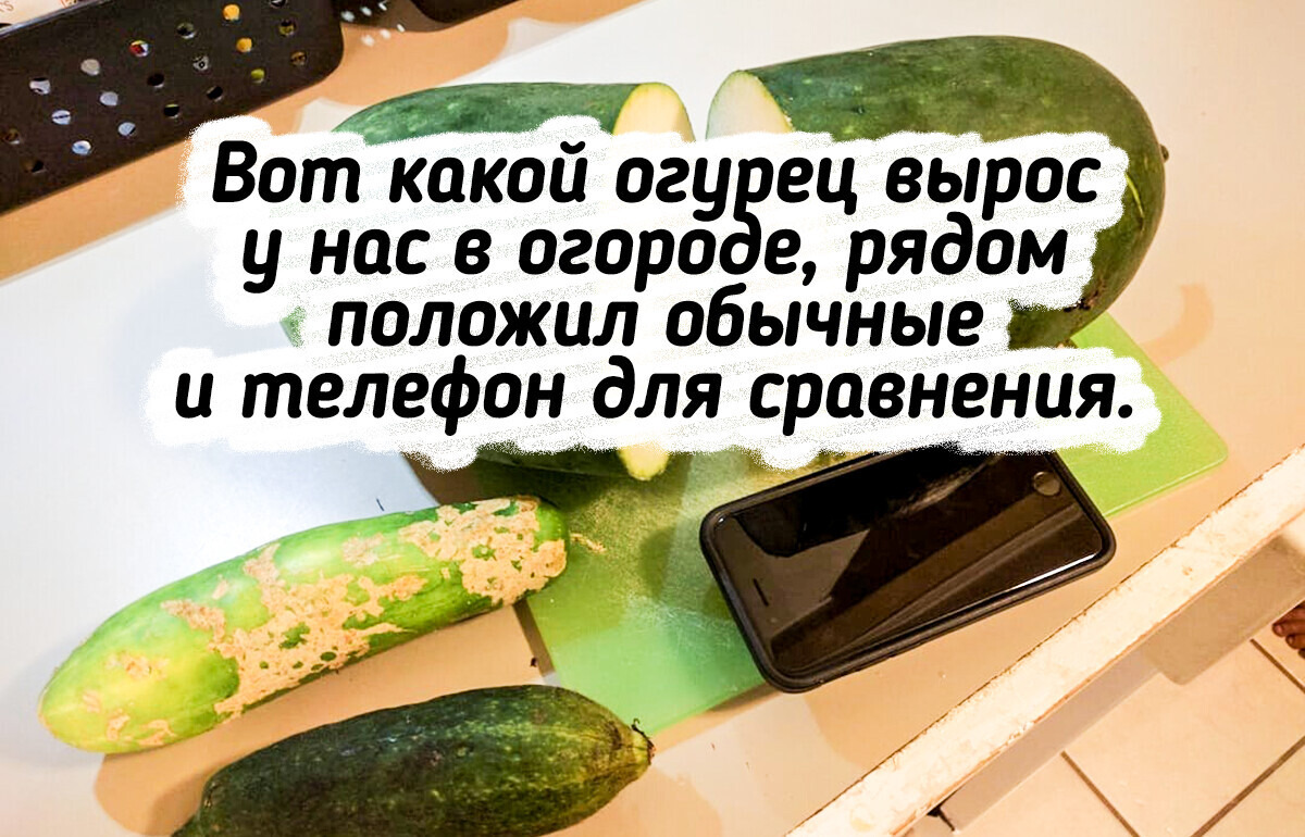 15 фотографий, после которых чувствуешь себя крошечной песчинкой в этом огромном мире 15 фотографий, после которых чувствуешь себя крошечной песчинкой в этом огромном мире