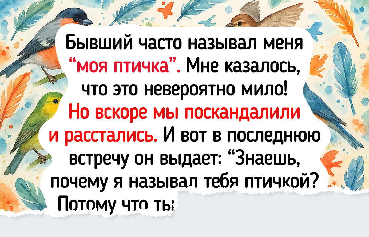 10+ случаев, когда мужская логика пошла неожиданным маршрутом 10+ случаев, когда мужская логика пошла неожиданным маршрутом