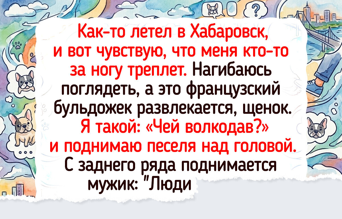 19 питомцев, которые устроили своим хозяевам такую заварушку, что мама не горюй 19 питомцев, которые устроили своим хозяевам такую заварушку, что мама не горюй