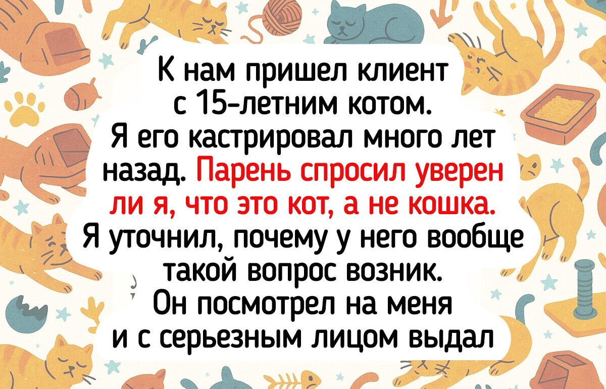 15 историй, доказывающих, что любовь к питомцу — это самое милое безумство на свете 15 историй, доказывающих, что любовь к питомцу — это самое милое безумство на свете