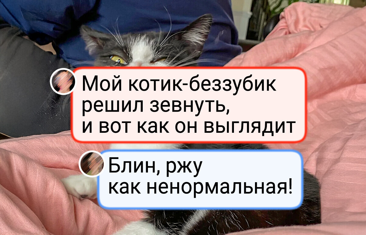 24 питомца, которые понятия не имели, что позируют для лучшего кадра в своей жизни