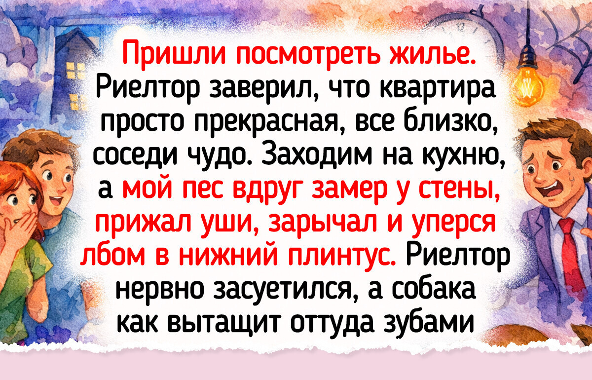 20 питомцев, которые понимают хозяев без единого слова 20 питомцев, которые понимают хозяев без единого слова
