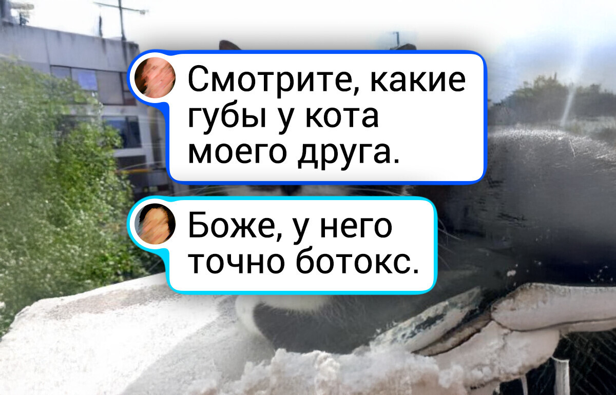 19 фото, которые напомнят о том, что природа порой просто непостижима 19 фото, которые напомнят о том, что природа порой просто непостижима