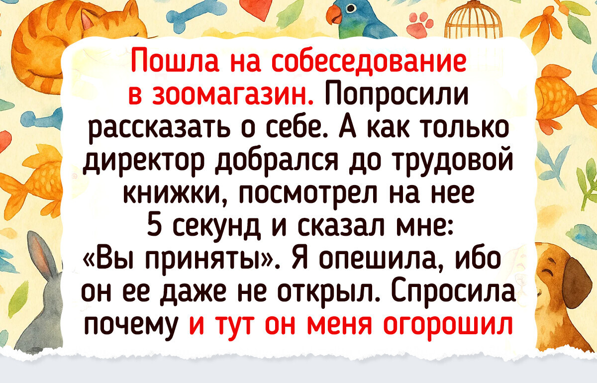 17 курьезных историй, которые могли произойти только в зоомагазине 17 курьезных историй, которые могли произойти только в зоомагазине