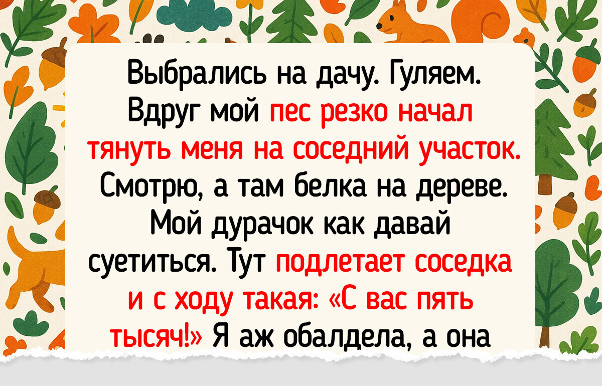 20+ питомцев, которые умудрились превратить прогулку в настоящее приключение