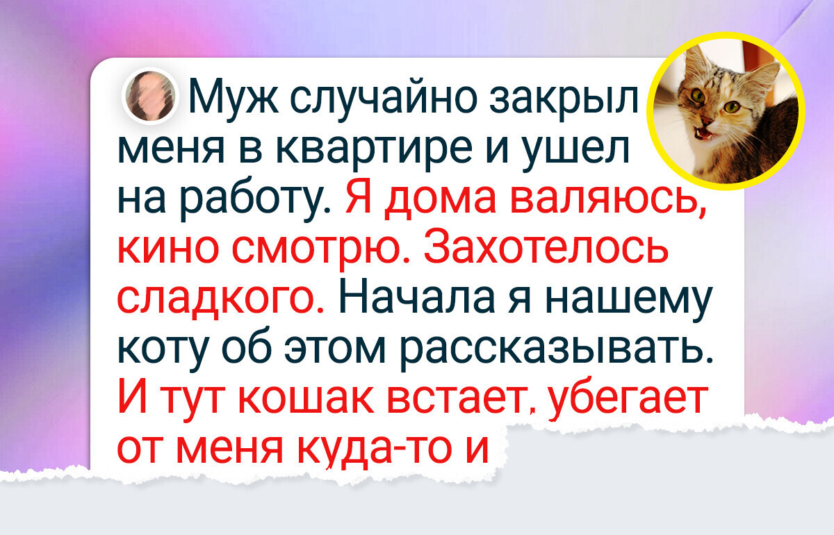 15 случаев, когда питомцы превратились в настоящих супергероев 15 случаев, когда питомцы превратились в настоящих супергероев
