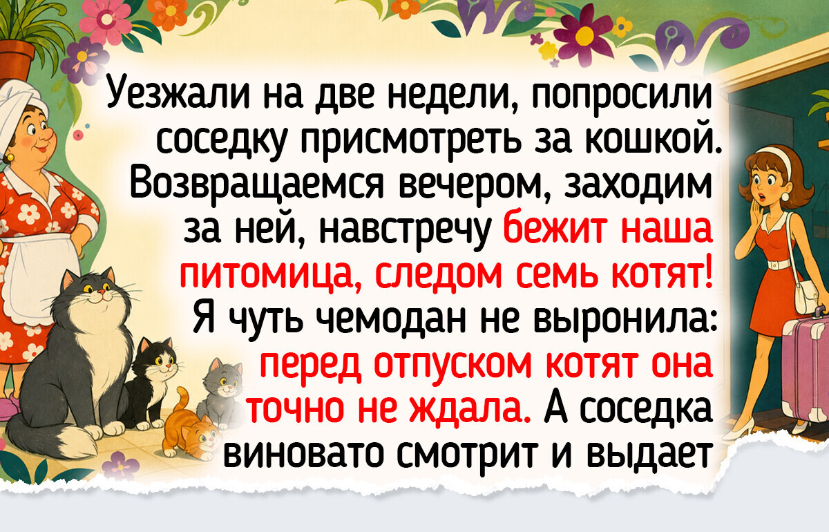 15+ историй о возвращении из отпуска, когда дорога домой оказалась ярче самого отдыха