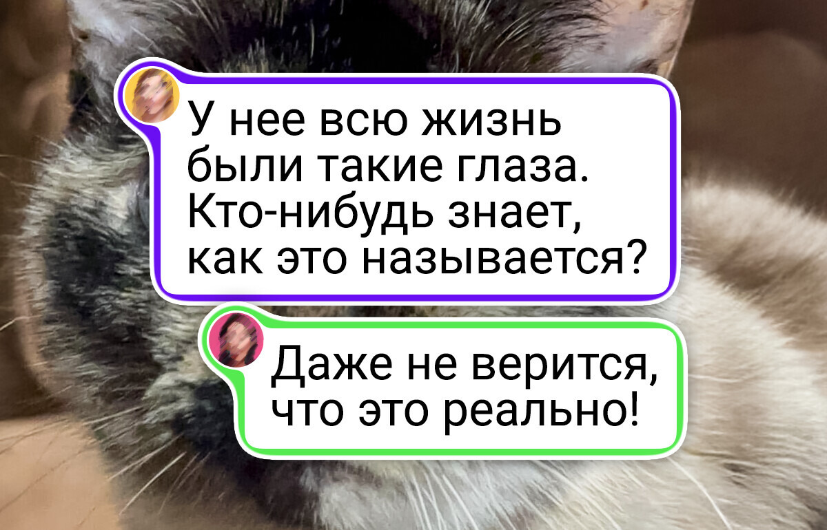 19 кадров, на которых природа взломала саму реальность 19 кадров, на которых природа взломала саму реальность