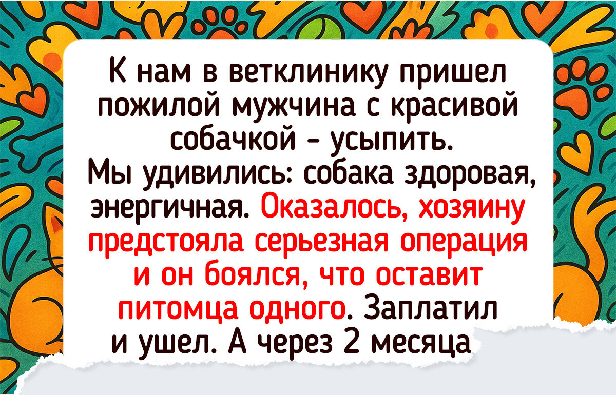 25 примеров дружбы животных и людей, которые докажут, что любовь не знает границ 25 примеров дружбы животных и людей, которые докажут, что любовь не знает границ