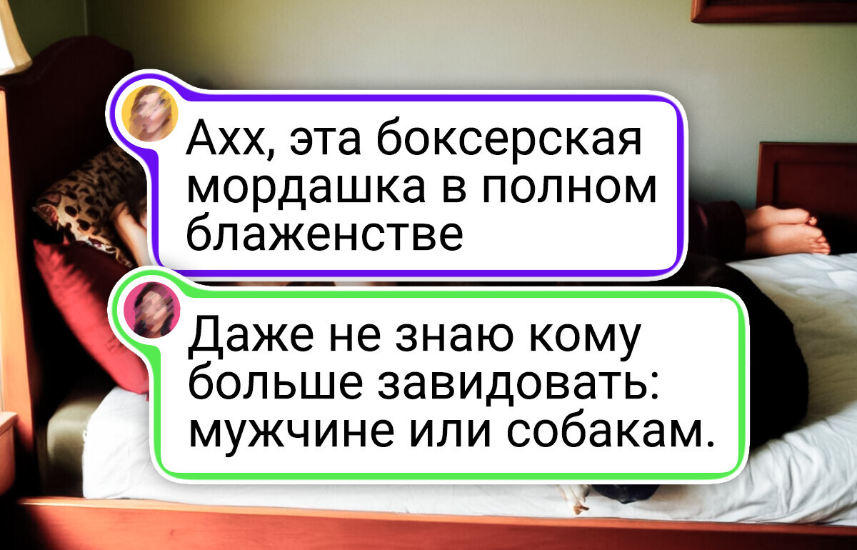 17+ животных, которые удачно попали в объектив фотографа и превратили обычные фото в шедевры эпохи Ренессанса 17+ животных, которые удачно попали в объектив фотографа и превратили обычные фото в шедевры эпохи Ренессанса