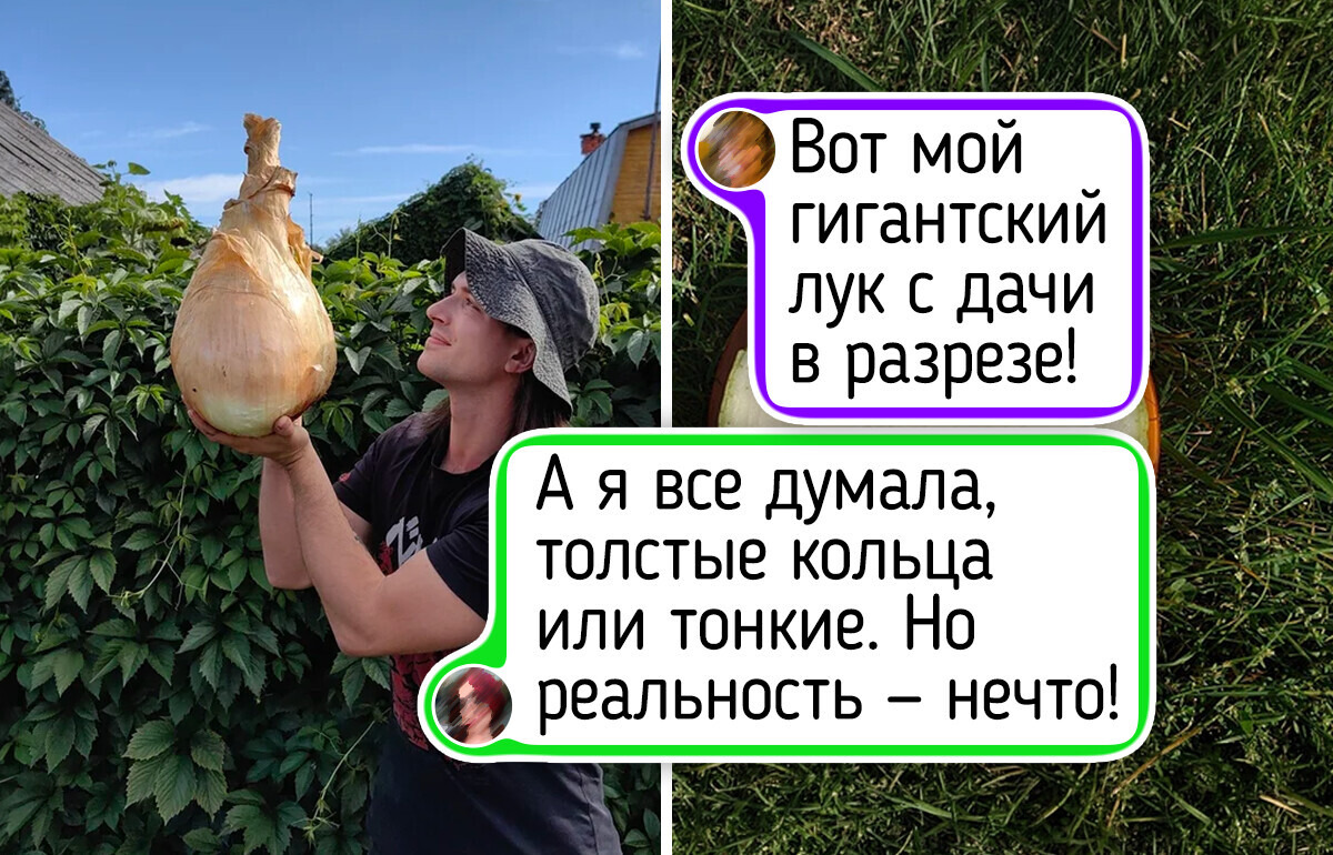 20+ ярких летних фото, после просмотра которых так и тянет на дачу с ее запахом свежей зелени