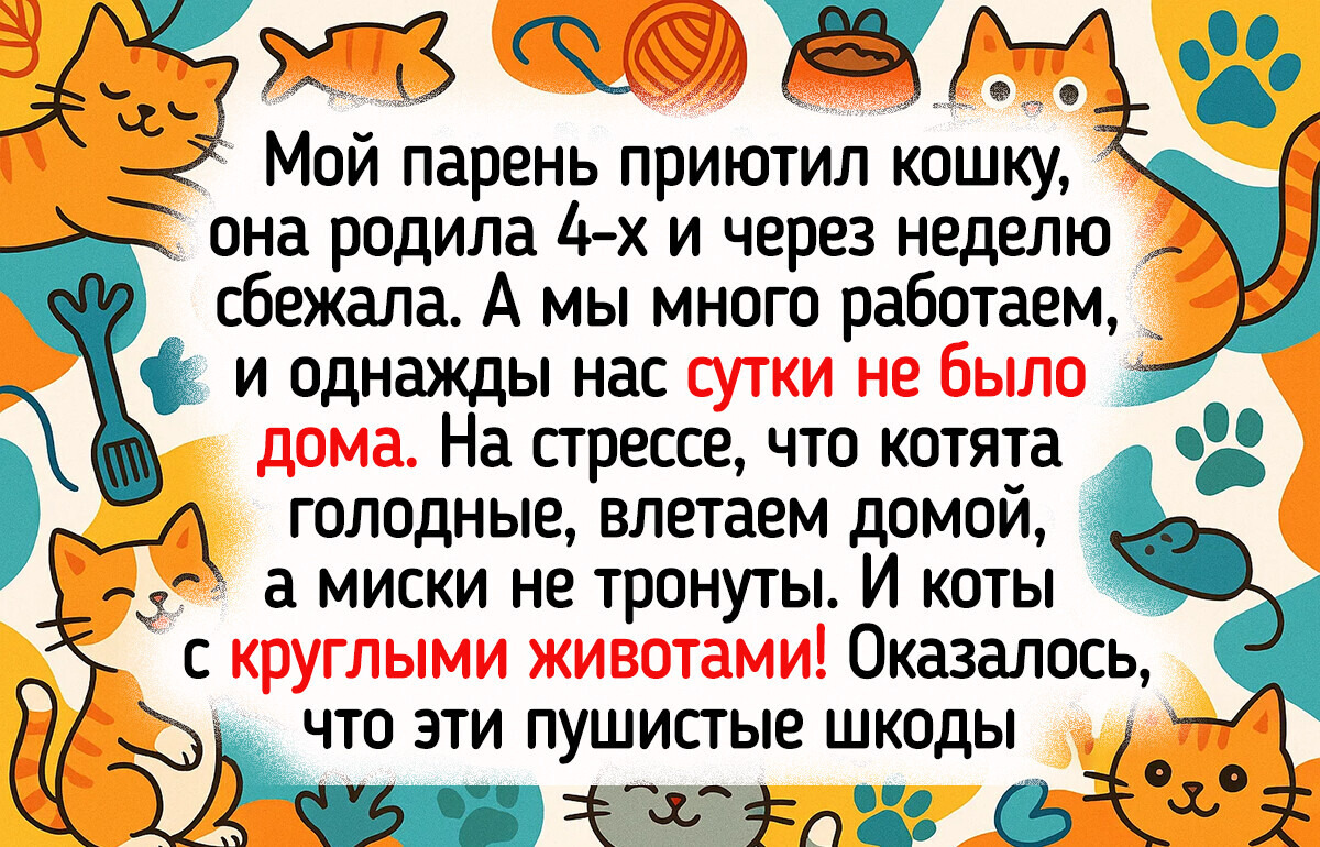 20+ историй, всю соль которых поймет только тот, у кого дома слышен топот пушистых лапок 20+ историй, всю соль которых поймет только тот, у кого дома слышен топот пушистых лапок