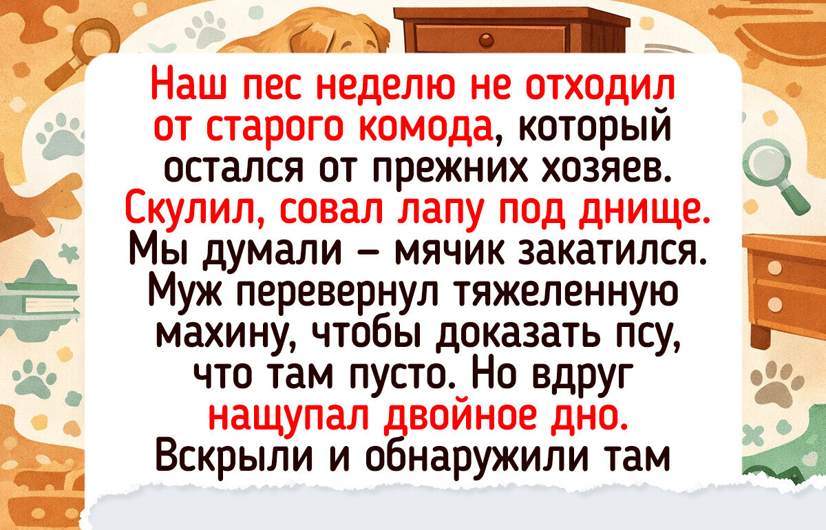 20 примеров того, что подарки судьбы всегда приходят без предупреждения