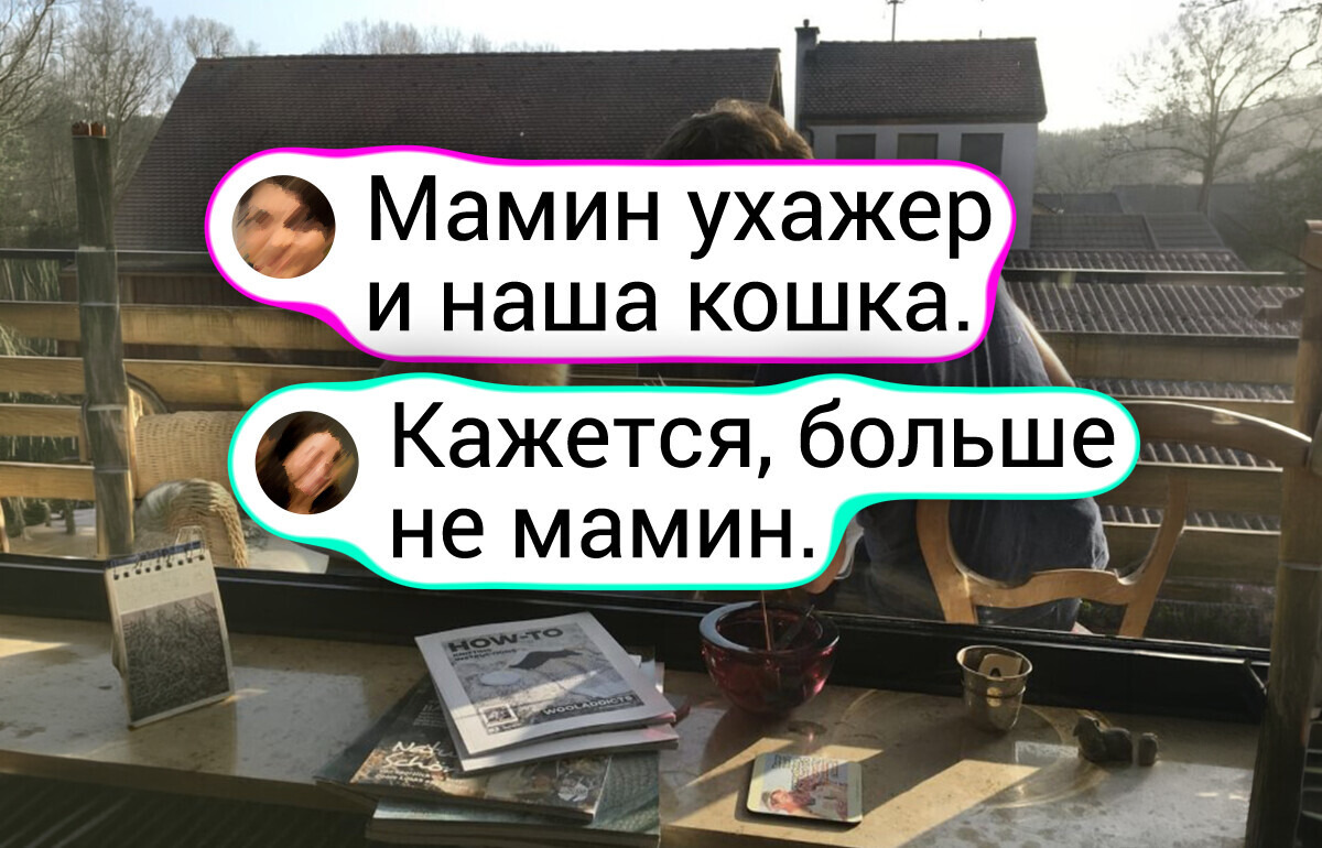 18 примеров того, что без кота и жизнь не та. Да и без собаки тоже
