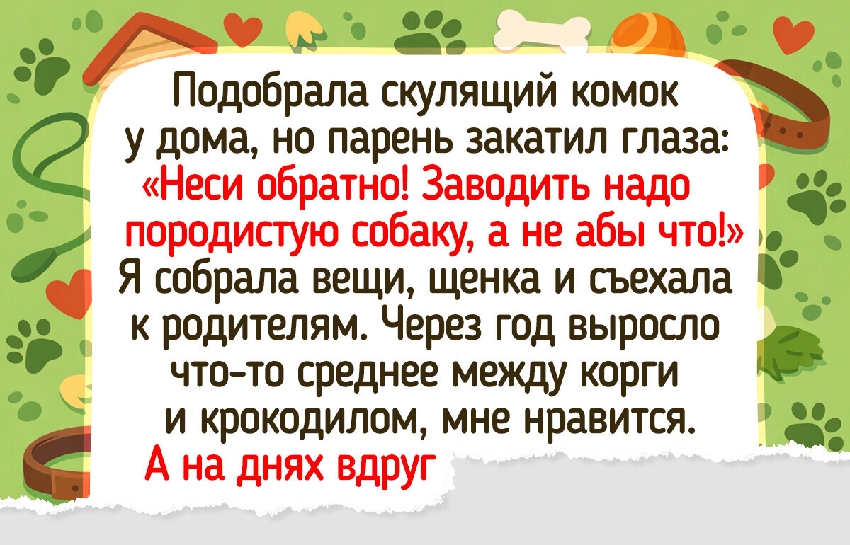 16 душевных историй о том, как люди встретили своего пушистого друга 16 душевных историй о том, как люди встретили своего пушистого друга