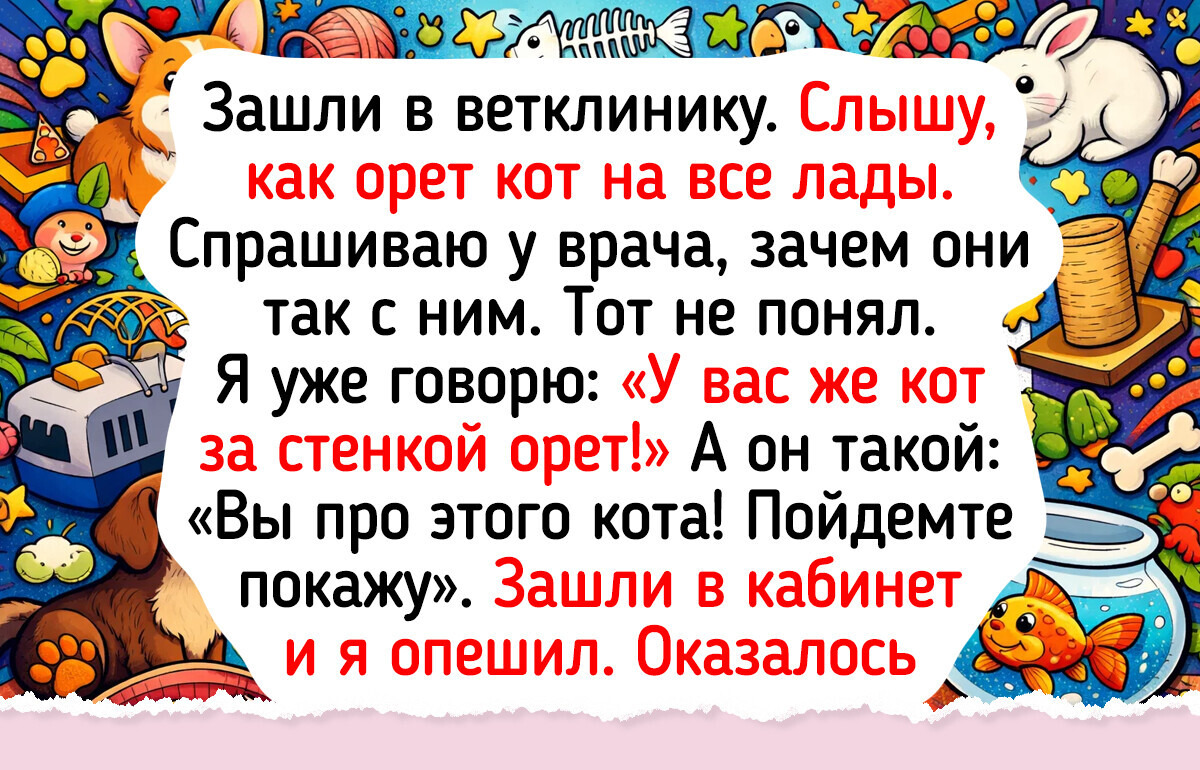 16 историй о том, что на приеме у ветеринара бывает смешнее, чем в кино