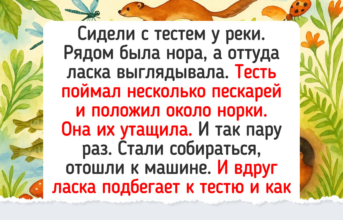 20 животных, которые своей смекалкой и человечностью сразили нас наповал