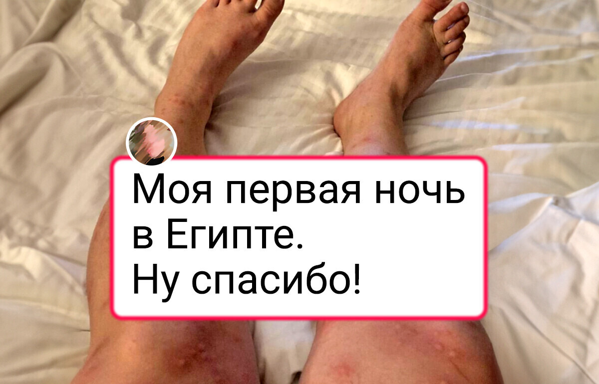 19 красноречивых доказательств того, что из путешествий можно привезти не только магнитики, но и массу самых разных впечатлений 19 красноречивых доказательств того, что из путешествий можно привезти не только магнитики, но и массу самых разных впечатлений