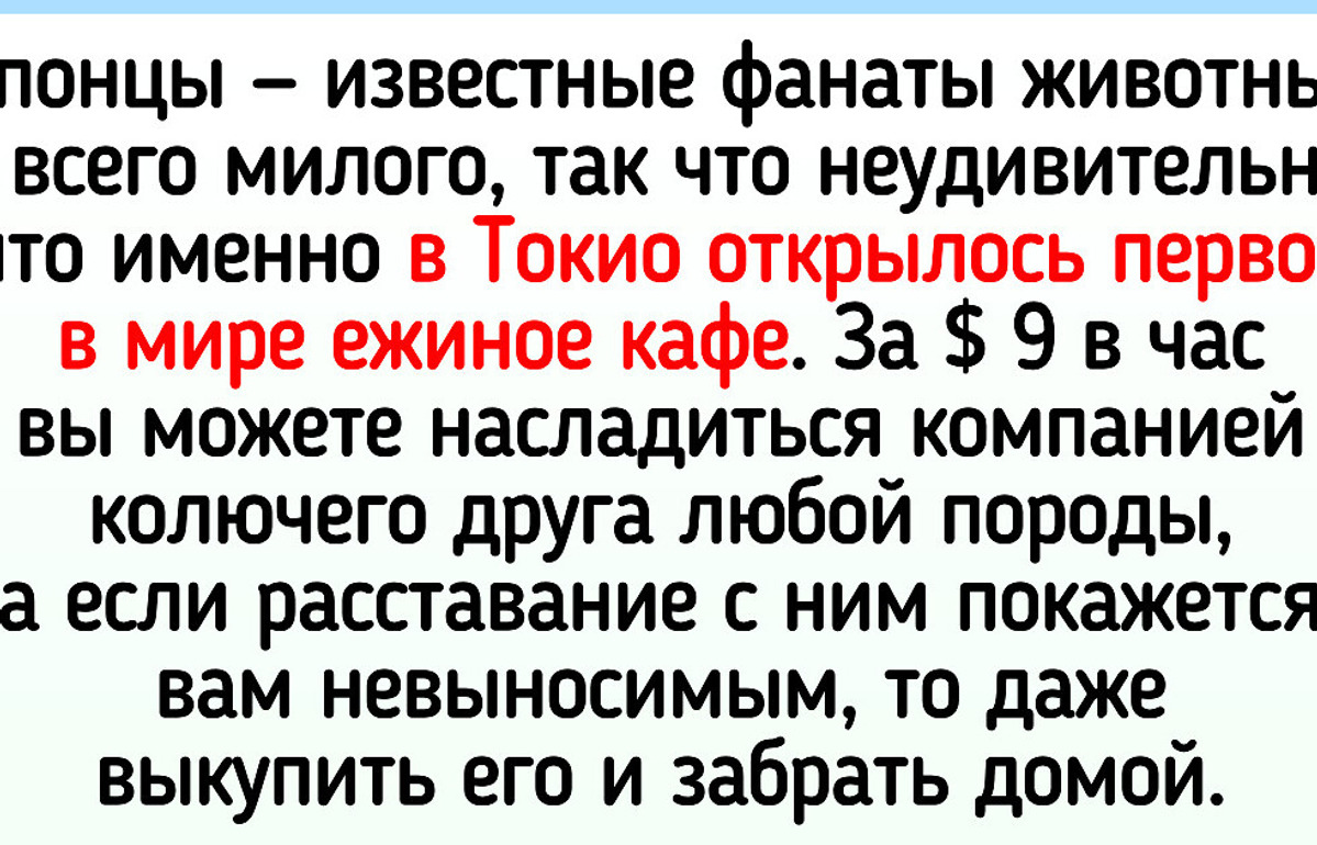 9 небанальных заведений, о которых тянет рассказать во всех соцсетях сразу 9 небанальных заведений, о которых тянет рассказать во всех соцсетях сразу